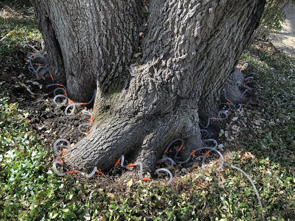 Detailed Shrub and Hedge Trimming job site in Garfield