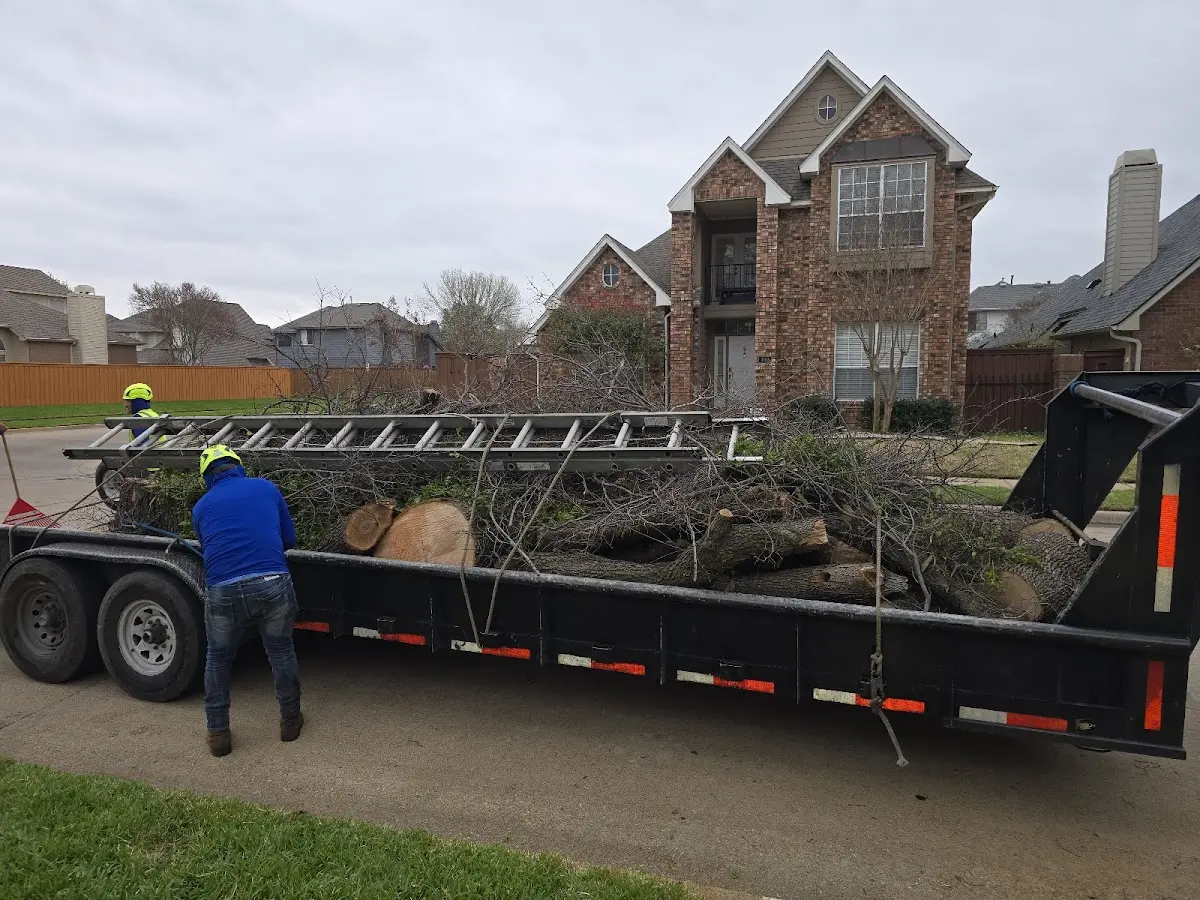 Expert Tree Fertilization with proper safety equipment in Garfield